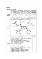 만5세 문화 교육 모의수업 계획안-세계 여러 나라-5