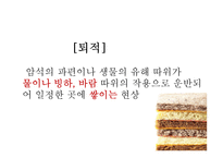 고등1학년 사회 수업지도안-5. 해안 지형과 인간 생활-19