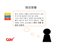 CJ CGV 인도 진출 방안-13