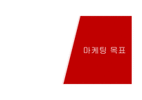 헬스단백질 보충제 마케팅전략-13