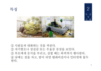 히키모코리를 통해 본일본사회와 문화-7