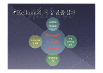 경영전략의 실패사례 켈로그 인도진출-17