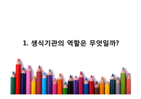 초등 4학년 보건교육 수업지도안-생식기관의 역할과 소중함-10