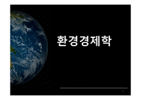환경경제학 레포트-1