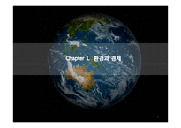 환경경제학 레포트-3
