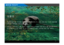 환경경제학 레포트-18