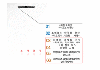 소매업 발전의 추세와 소매관리(마이크로마케팅빅토리아시크릿인테리어아-11