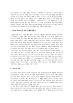 Fissler(휘슬러)의 광고 비판 및 개선안-10