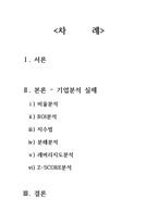 한미약품 기업분석(~2013)-2
