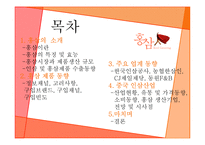 홍삼 Red?Ginseng 레포트-2