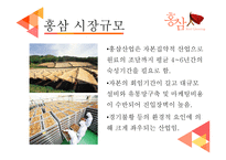 홍삼 Red?Ginseng 레포트-9