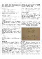 조사방법론 요약 및 정리-4