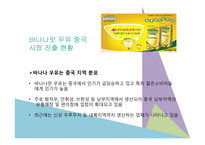 빙그레 바나나맛 우유 중국시장 성공-14