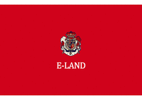 E-LAND 기업분석 및 프로모션-1