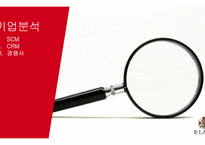 E-LAND 기업분석 및 프로모션-11
