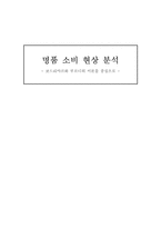 명품 소비 현상 분석-보드리야르와 부르디외의 이론을 중심으로-1