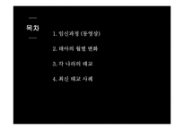 임신과 태교 레포트-2