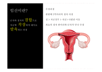 임신과 태교 레포트-5