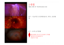 임신과 태교 레포트-6
