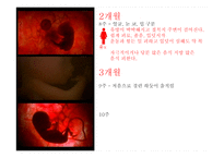 임신과 태교 레포트-7