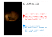 임신과 태교 레포트-8