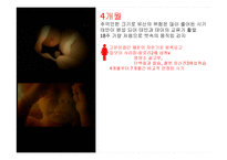 임신과 태교 레포트-9