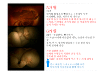 임신과 태교 레포트-10