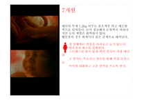 임신과 태교 레포트-11
