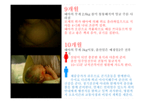 임신과 태교 레포트-13