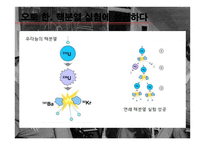 원자폭탄 개발역사와 과학과 윤리-5