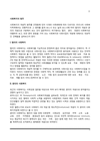 [사회복지의 범주] 사회복지의 개념적 범주-2