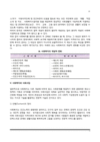 [사회복지의 범주] 사회복지의 개념적 범주-4