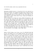 가족관계에서의 형제자매관계(가족체계와 형제자매관계, 형제자매의 구조)-4