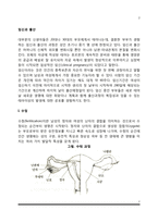 [임신과 출산] 수정, 태내발달단계, 태내발달에 영향을 미치는 요인, 출산(분만)-2