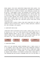 사회복지정책의 개념과 영역, 사회복지정책 형성과정-4