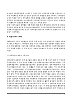 한국 사회복지실천의 역사(우리나라 사회복지실천의 발달과정-발전과정)-5