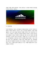 아디다스 기업분석과 SWOT분석/ 아디다스 마케팅전략 사례분석/ 아디다스 미래 마케팅전략 제언-10
