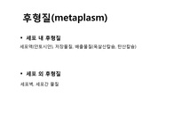 혈액 및 종양 진단 및 치료와 예방-11
