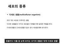 혈액 및 종양 진단 및 치료와 예방-13