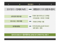 클로렐라 섭취가 인체에 미치는 영향-7