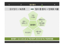 클로렐라 섭취가 인체에 미치는 영향-9