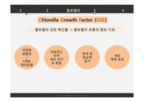 클로렐라 섭취가 인체에 미치는 영향-12