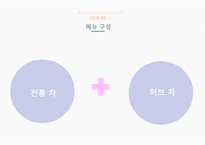 마케팅 SHOP IN SHOP 사업계획서-11