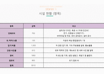 마케팅 SHOP IN SHOP 사업계획서-13