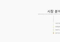 마케팅 SHOP IN SHOP 사업계획서-15