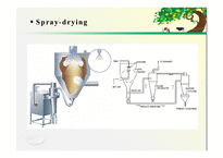 논문연구-`Physicochemical Properties of Reconstituted Milk Made from Freeze-dried Milk Powder or Spray-dried Milk Powder`-16