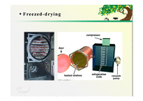 논문연구-`Physicochemical Properties of Reconstituted Milk Made from Freeze-dried Milk Powder or Spray-dried Milk Powder`-17