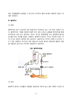 [신장질환 식이요법] 신장질환(신증후군, 급성신부전 및 만성신부전, 혈액투석, 지속성 복막투석, 신결석증)의 원인과 증상 및 치료를 위한 식사요법-10