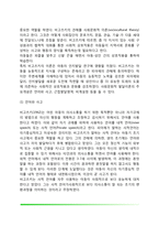 피아제와 비고츠키이론의 비교(Piaget의 인지발달이론과 Vygotsky의 사회문화적 이론의 비교와 평가 및 교육적 시사점)-12