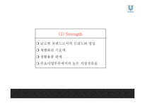 유니레버 기업분석과 유니레버 마케팅 SWOT,4P전략분석및 유니레버 사회공헌활동 CSR전략분석과 미래전략제안 PPT-8